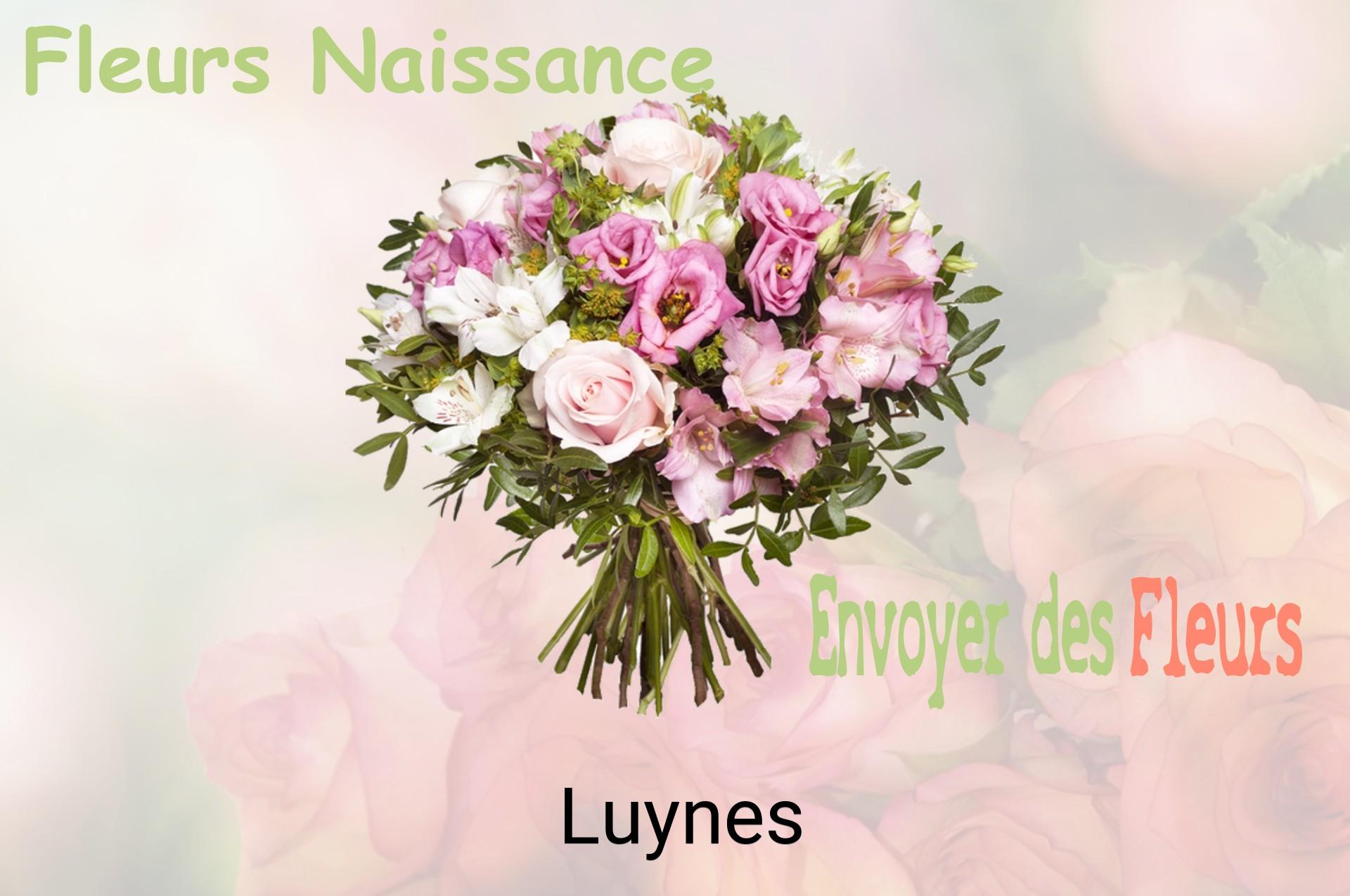 Bouquet de fleurs de naissance livré à Luynes